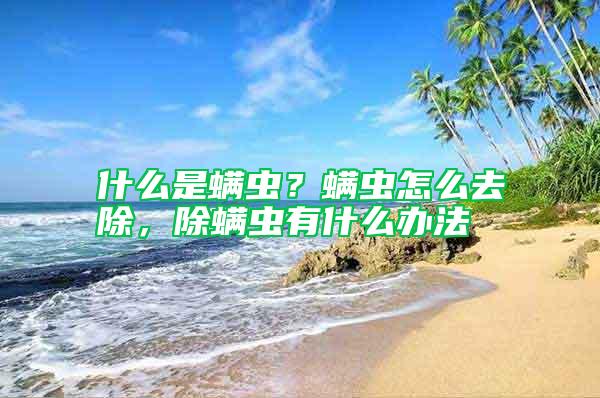 什么是螨蟲(chóng)?螨蟲(chóng)怎么去除,除螨蟲(chóng)有什么辦法