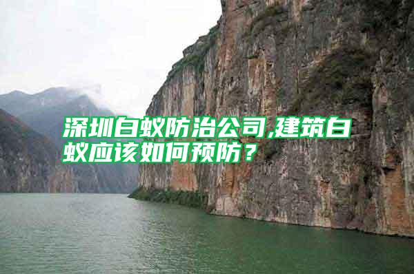 深圳白蟻防治公司,建筑白蟻應該如何預防？