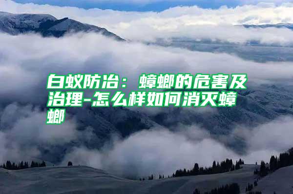 白蟻防冶:蟑螂的危害及治理-怎么樣如何消滅蟑螂