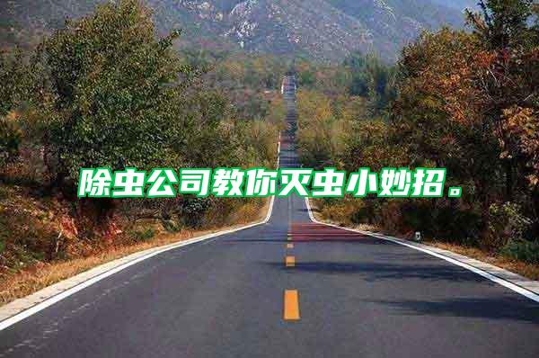 除蟲公司教你滅蟲小妙招。