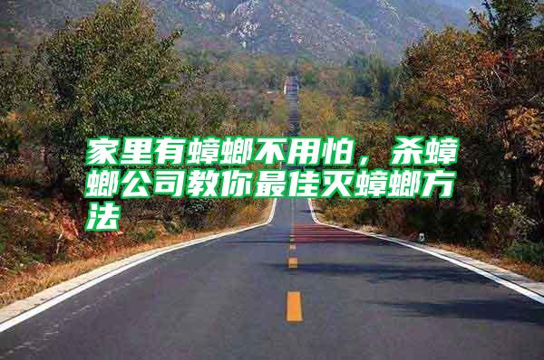 家里有蟑螂不用怕，殺蟑螂公司教你最佳滅蟑螂方法