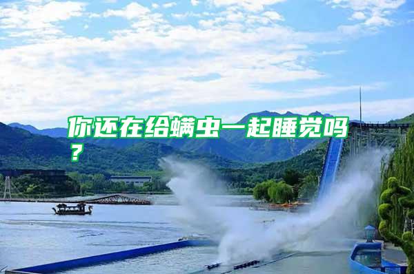 你還在給螨蟲一起睡覺嗎?