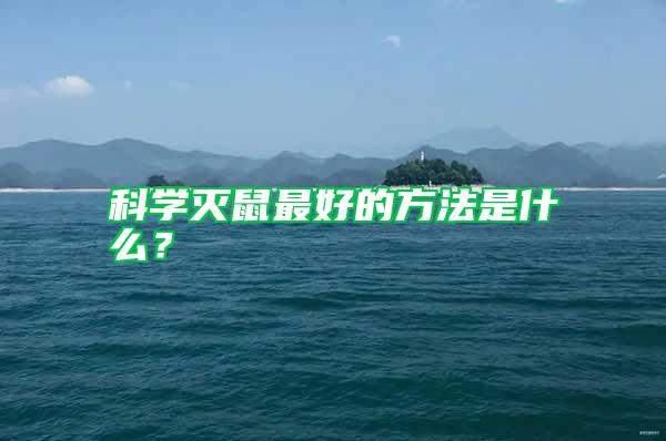 科學滅鼠最好的方法是什么?