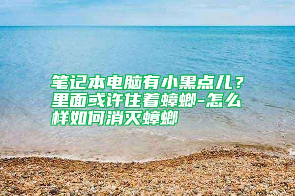 筆記本電腦有小黑點(diǎn)兒?里面或許住著蟑螂-怎么樣如何消滅蟑螂
