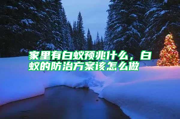 家里有白蟻預(yù)兆什么,白蟻的防治方案該怎么做