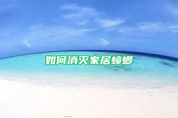如何消滅家居蟑螂