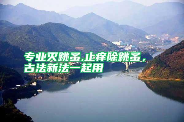 專業滅跳蚤,止癢除跳蚤， 古法新法一起用