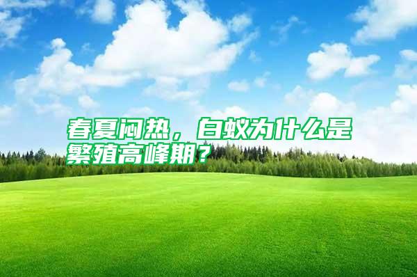 春夏悶熱，白蟻為什么是繁殖高峰期？