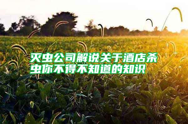 滅蟲(chóng)公司解說(shuō)關(guān)于酒店殺蟲(chóng)你不得不知道的知識(shí)