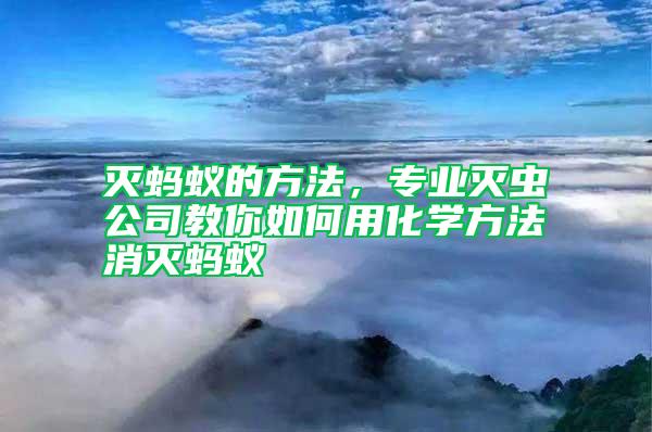 滅螞蟻的方法,專業滅蟲公司教你如何用化學方法消滅螞蟻