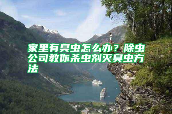 家里有臭蟲怎么辦？除蟲公司教你殺蟲劑滅臭蟲方法