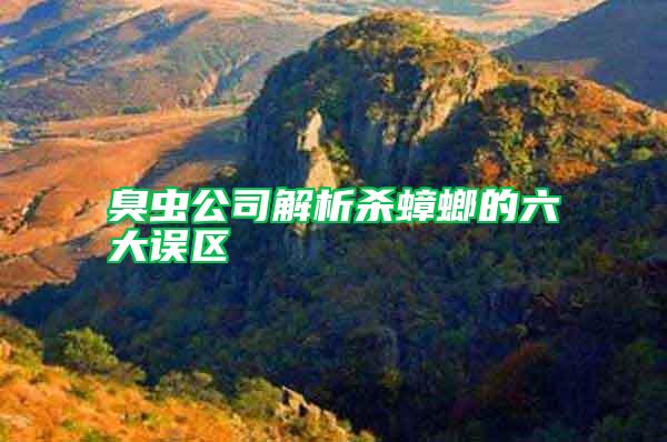 臭蟲公司解析殺蟑螂的六大誤區(qū)