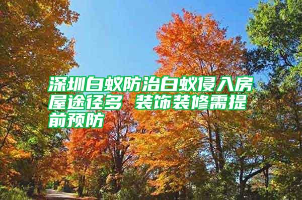 深圳白蟻防治白蟻侵入房屋途徑多 裝飾裝修需提前預(yù)防