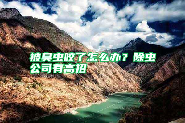 被臭蟲咬了怎么辦?除蟲公司有高招