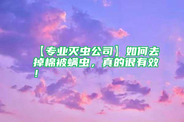 【專業滅蟲公司】如何去掉棉被螨蟲,真的很有效!