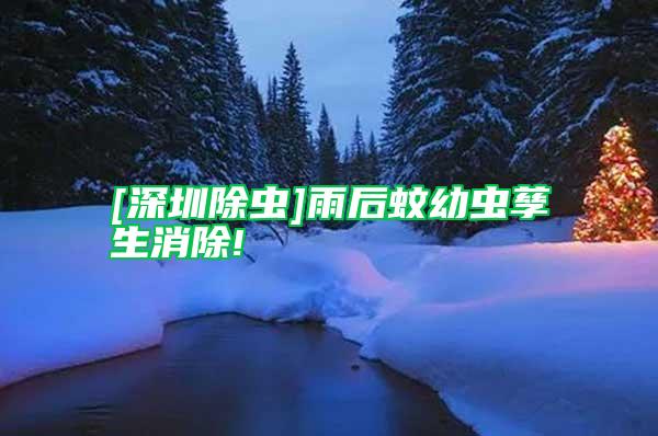 [深圳除蟲(chóng)]雨后蚊幼蟲(chóng)孳生消除!