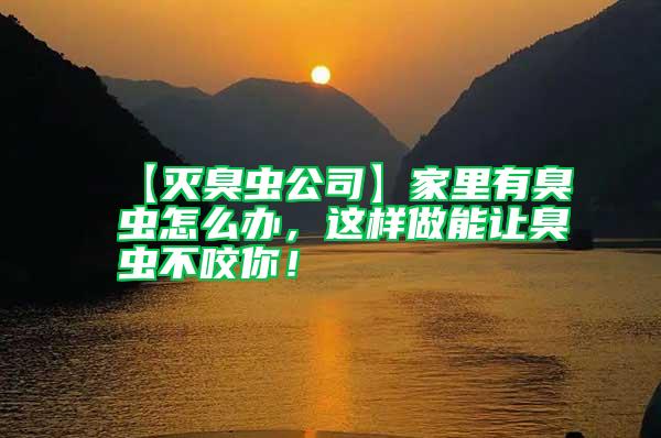 【滅臭蟲公司】家里有臭蟲怎么辦，這樣做能讓臭蟲不咬你！