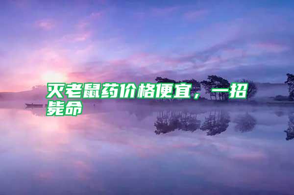 滅老鼠藥價格便宜，一招斃命