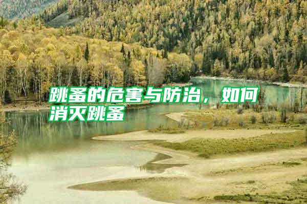 跳蚤的危害與防治，如何消滅跳蚤