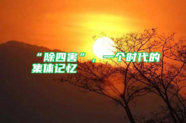 “除四害”,一個時代的集體記憶