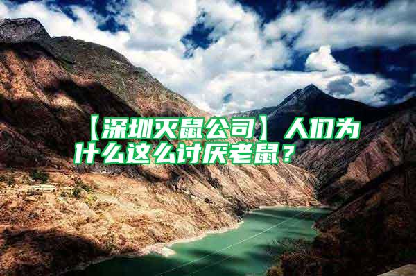 【深圳滅鼠公司】人們為什么這么討厭老鼠？