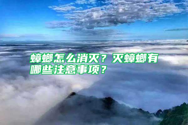 蟑螂怎么消滅？滅蟑螂有哪些注意事項？