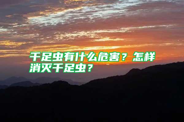 千足蟲有什么危害?怎樣消滅千足蟲?