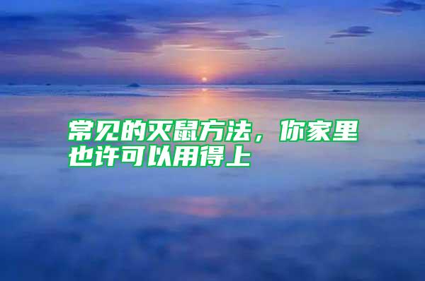 常見的滅鼠方法，你家里也許可以用得上