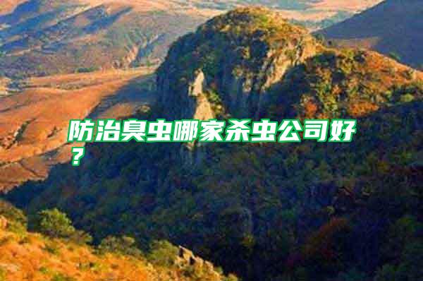 防治臭蟲哪家殺蟲公司好？