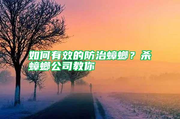 如何有效的防治蟑螂?殺蟑螂公司教你