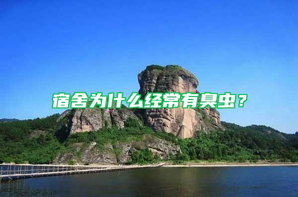 宿舍為什么經(jīng)常有臭蟲(chóng)?