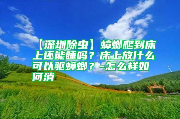 【深圳除蟲】蟑螂爬到床上還能睡嗎?床上放什么可以驅蟑螂?-怎么樣如何消
