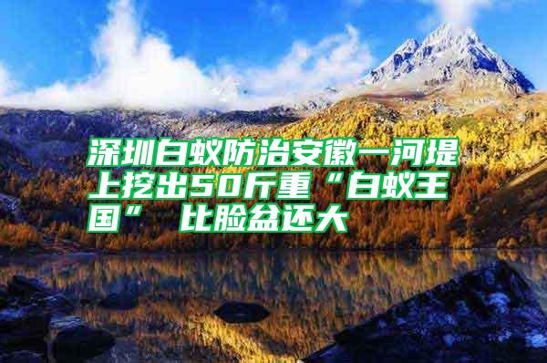 深圳白蟻防治安徽一河堤上挖出50斤重“白蟻王國(guó)” 比臉盆還大