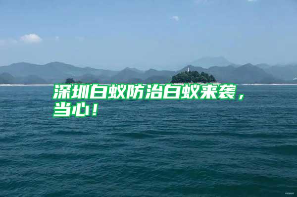 深圳白蟻防治白蟻來襲，當心！