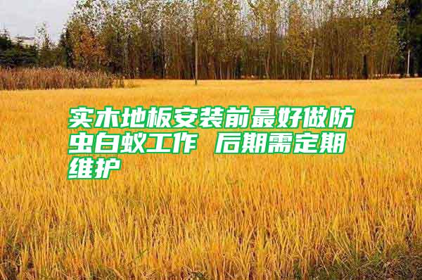 實(shí)木地板安裝前最好做防蟲白蟻工作 后期需定期維護(hù)