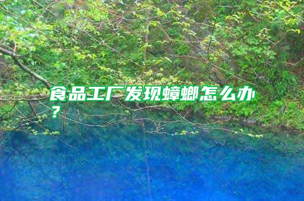 食品工廠發現蟑螂怎么辦?