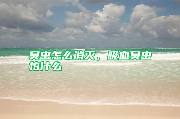 臭蟲怎么消滅，吸血臭蟲怕什么