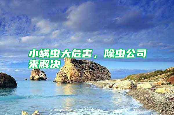 小螨蟲大危害，除蟲公司來解決