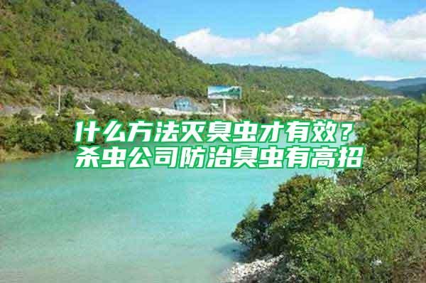 什么方法滅臭蟲才有效?殺蟲公司防治臭蟲有高招