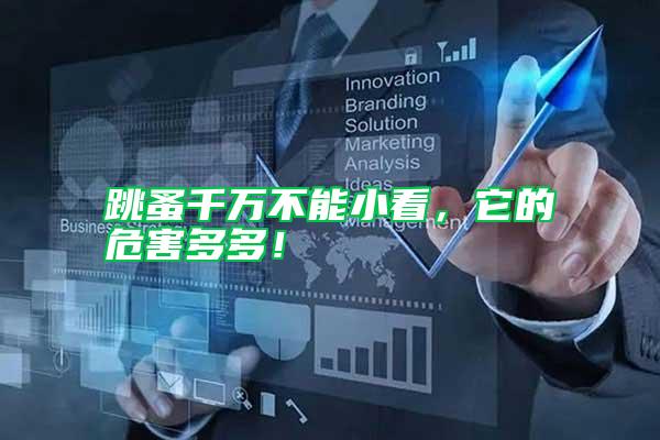 跳蚤千萬不能小看，它的危害多多！