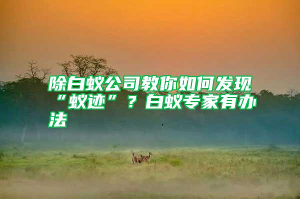 除白蟻公司教你如何發(fā)現(xiàn)“蟻跡”？白蟻專家有辦法