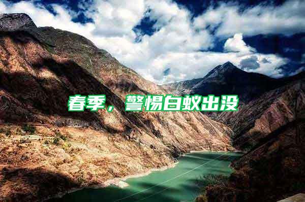 春季,警惕白蟻出沒