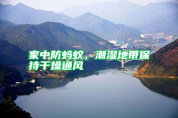 家中防螞蟻,潮濕地帶保持干燥通風(fēng)