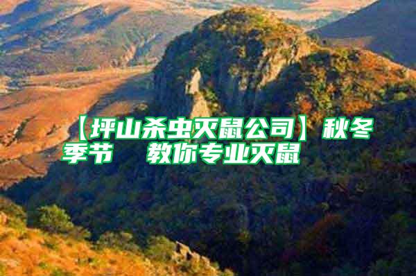 【坪山殺蟲(chóng)滅鼠公司】秋冬季節(jié)  教你專業(yè)滅鼠