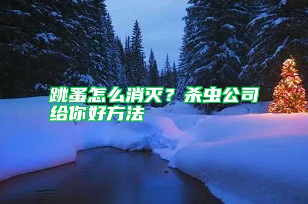 跳蚤怎么消滅？殺蟲公司給你好方法