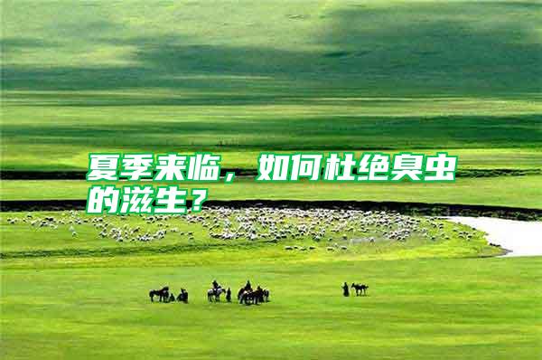 夏季來臨，如何杜絕臭蟲的滋生？