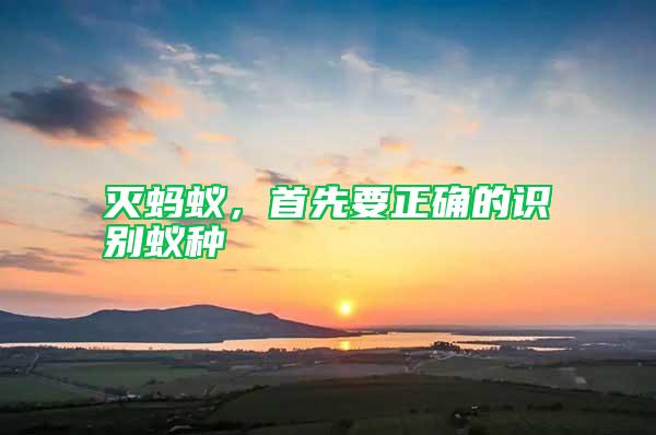 滅螞蟻，首先要正確的識別蟻種
