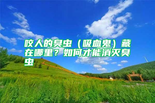 咬人的臭蟲（吸血鬼）藏在哪里？如何才能消滅臭蟲