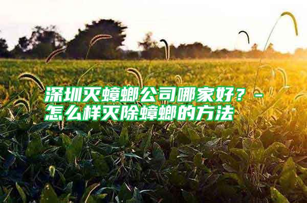 深圳滅蟑螂公司哪家好?-怎么樣滅除蟑螂的方法