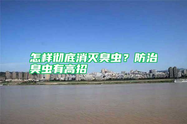 怎樣徹底消滅臭蟲?防治臭蟲有高招